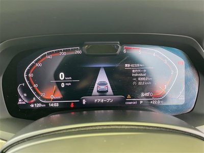 2019 BMW X7 缩略图 20