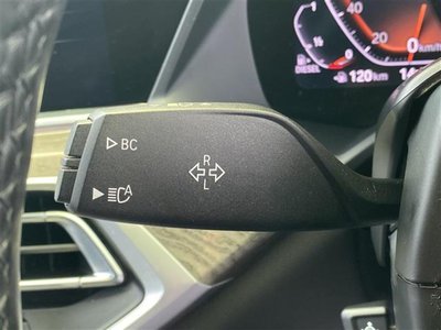 2019 BMW X7 缩略图 30