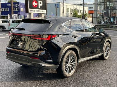 2022 Lexus NX 缩略图 9