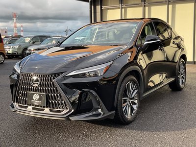 2022 Lexus NX 缩略图 13