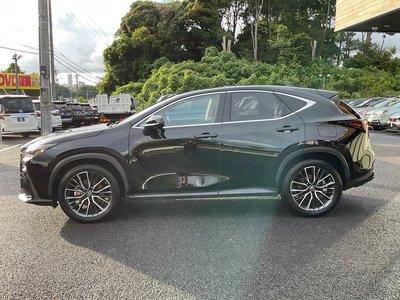 2022 Lexus NX 缩略图 12