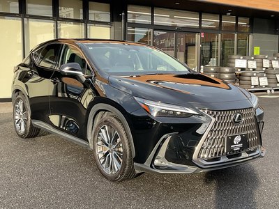 2022 Lexus NX 缩略图 7