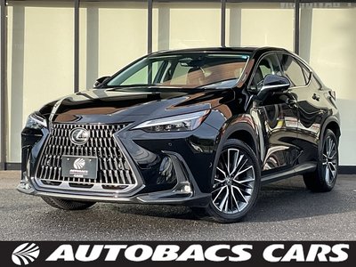 2022 Lexus NX 预览图