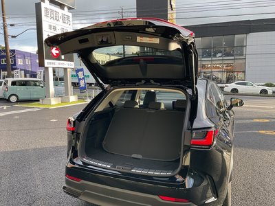 2022 Lexus NX 缩略图 38