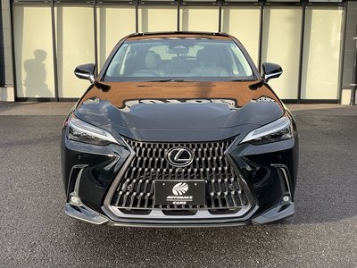 2022 Lexus NX 缩略图 6
