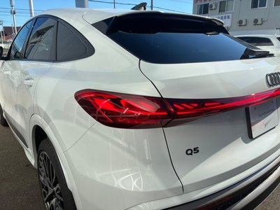 2025 AUDI Q5 SPORTBACK 缩略图 12