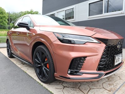 LEXUS RX - 3