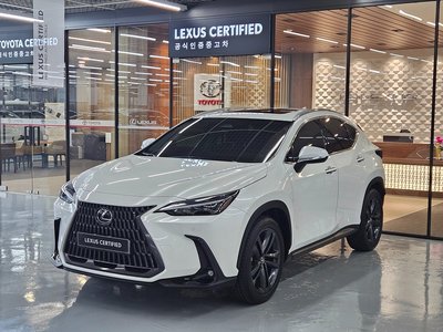 LEXUS NX - 1
