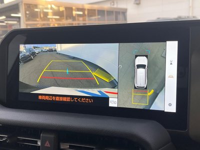 TOYOTA LAND CRUISER 250 - 5