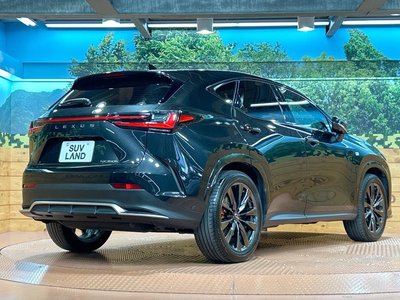2023 Lexus NX — миниатюра 17