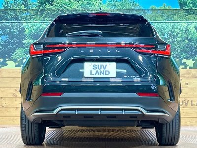 2023 Lexus NX — миниатюра 15