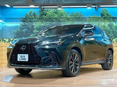 2023 Lexus NX — миниатюра 24
