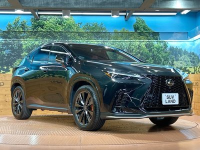 2023 Lexus NX — миниатюра 16
