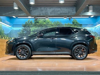 2023 Lexus NX — миниатюра 25