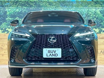 2023 Lexus NX — миниатюра 14