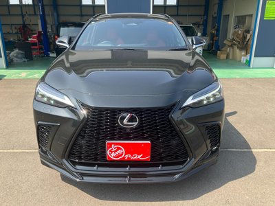 LEXUS NX - 8