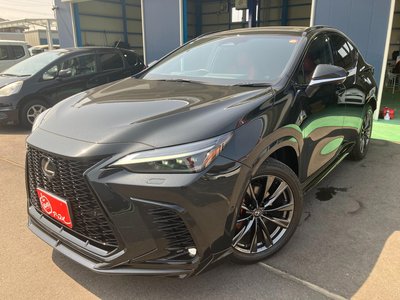 LEXUS NX - 6