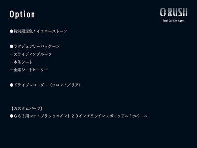 MERCEDES-BENZ G-CLASS - 2