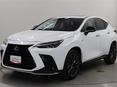 LEXUS NX - 1