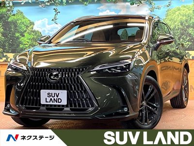 LEXUS NX - 1