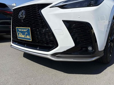 2024 Lexus NX thumbnail 24