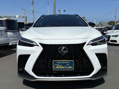 2024 Lexus NX 照片 2