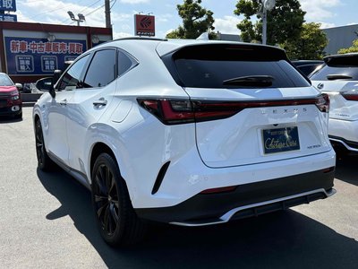 2024 Lexus NX 照片 9