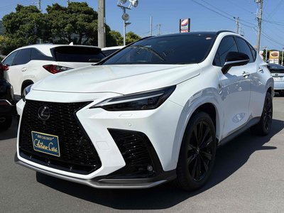 2024 Lexus NX 照片 3