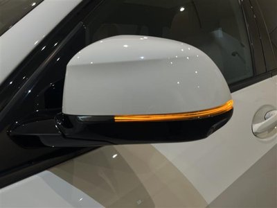 صورة مصغرة 34 لـ 2019 BMW X5