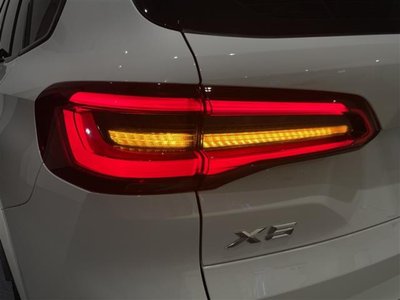 صورة مصغرة 35 لـ 2019 BMW X5