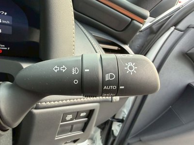 صورة مصغرة 46 لـ 2025 TOYOTA ALPHARD