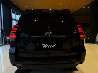 TOYOTA LAND CRUISER PRADO - 9