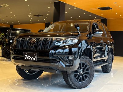 2023 Toyota LAND CRUISER PRADO 照片 5