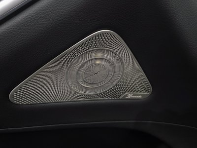2021 Mercedes-BENZ S-CLASS 缩略图 30