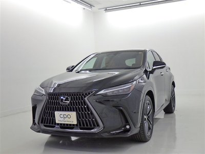 LEXUS NX - 1