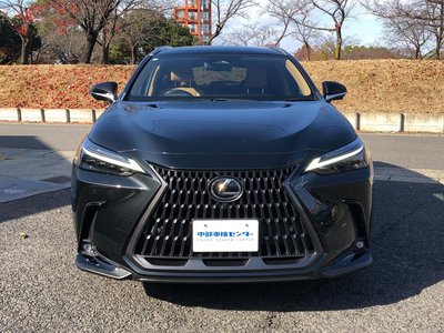LEXUS NX - 8