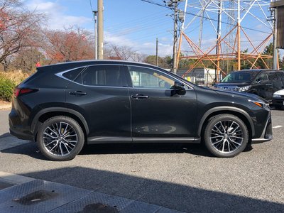 LEXUS NX - 10