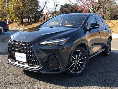 LEXUS NX - 6