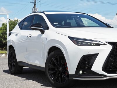 LEXUS NX - 10