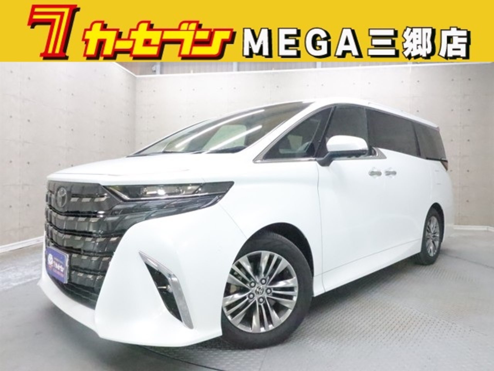 TOYOTA ALPHARD - View 1