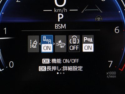 TOYOTA LAND CRUISER 250 - 8