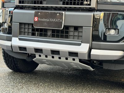 TOYOTA LAND CRUISER 250 - 3