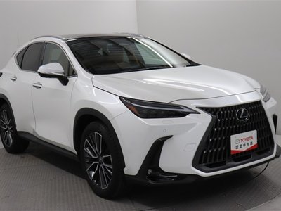 2023 Lexus NX — миниатюра 15