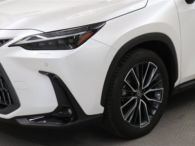2023 Lexus NX — миниатюра 16