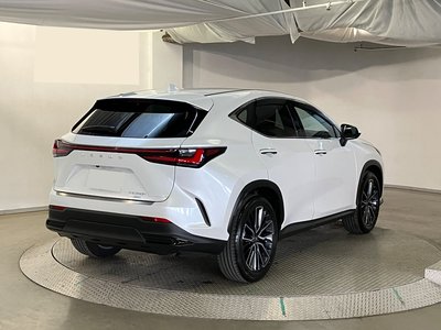 LEXUS NX - 8