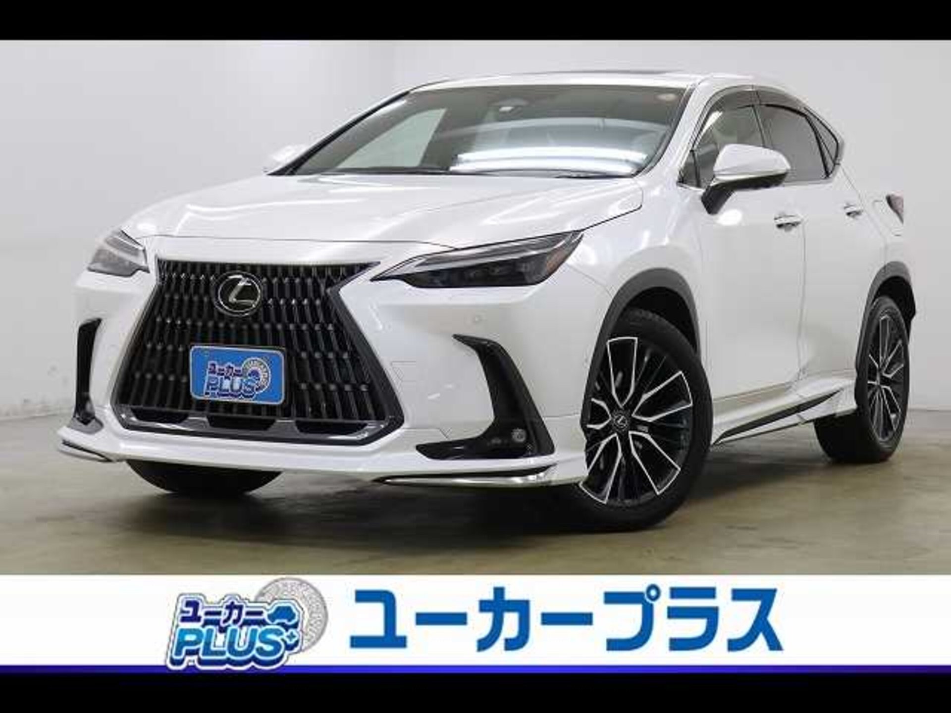 LEXUS NX - View 1