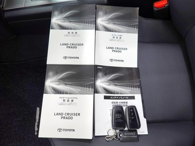 TOYOTA LAND CRUISER PRADO - 5