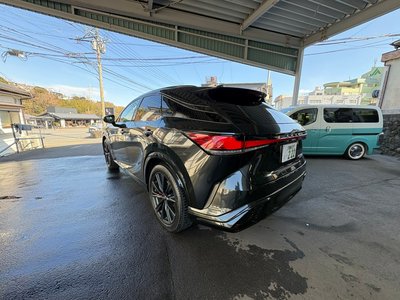 LEXUS RX - 10
