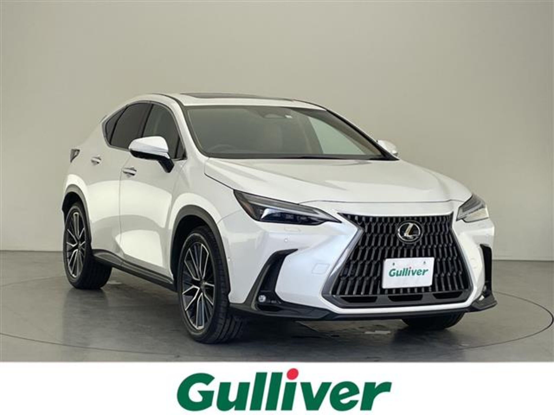 LEXUS NX - View 1