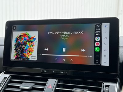 2025 Toyota LAND CRUISER 300 缩略图 49